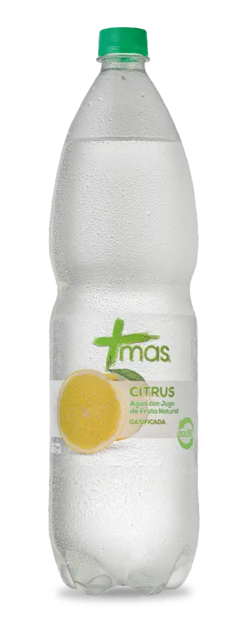 Agua Citrus MAS 6x1,6L